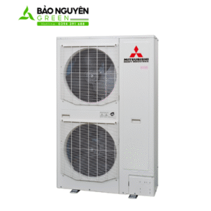 ảnh sp bảo nguyên green