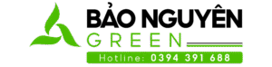 logo bảo nguyên